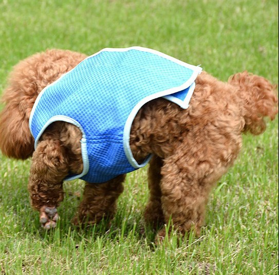 PVA Cooling Vest – Summer Dog & Cat Wear