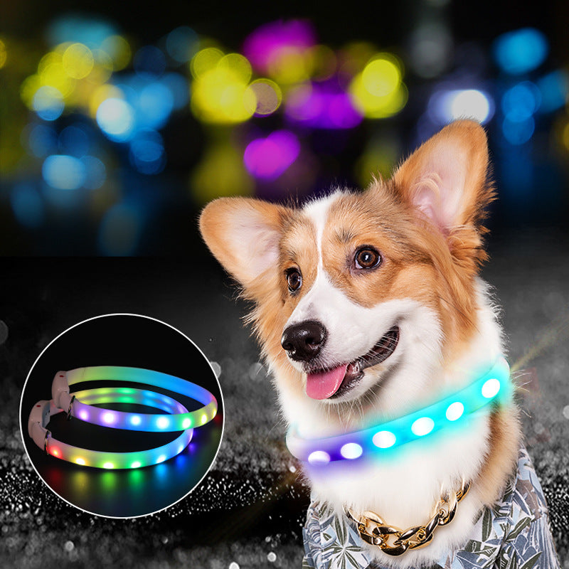USB Rechargeable LED Dog Collar – Night Safety Glow