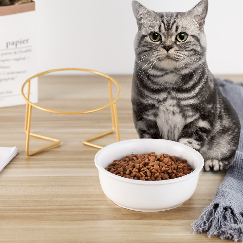 Tilted Ceramic Cat Bowl – Comfortable Mess Free Feeding