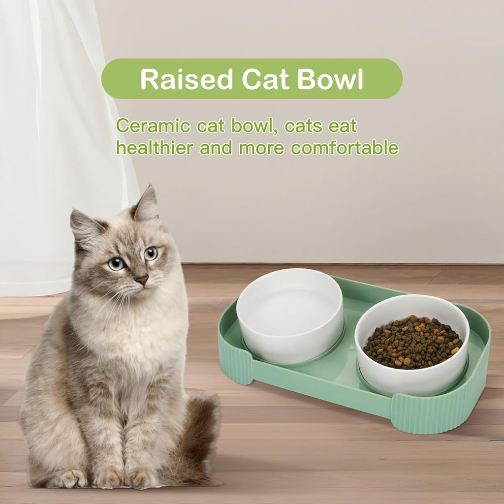 Ceramic Elevated Cat Bowls – Anti Vomit Feeding Set