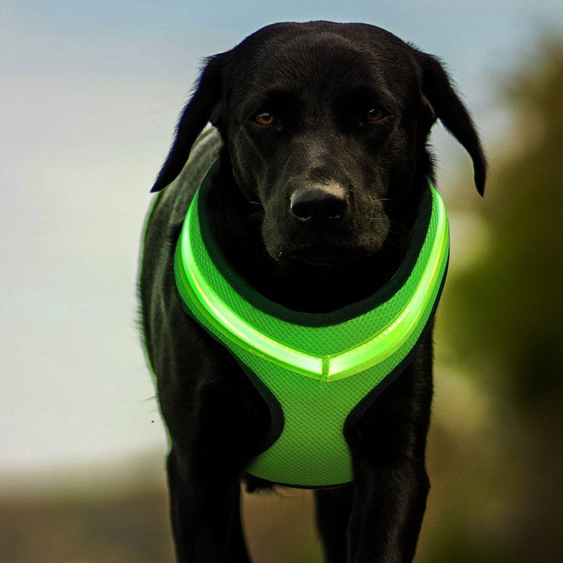 LED Dog Harness – USB Rechargeable Reflective Vest