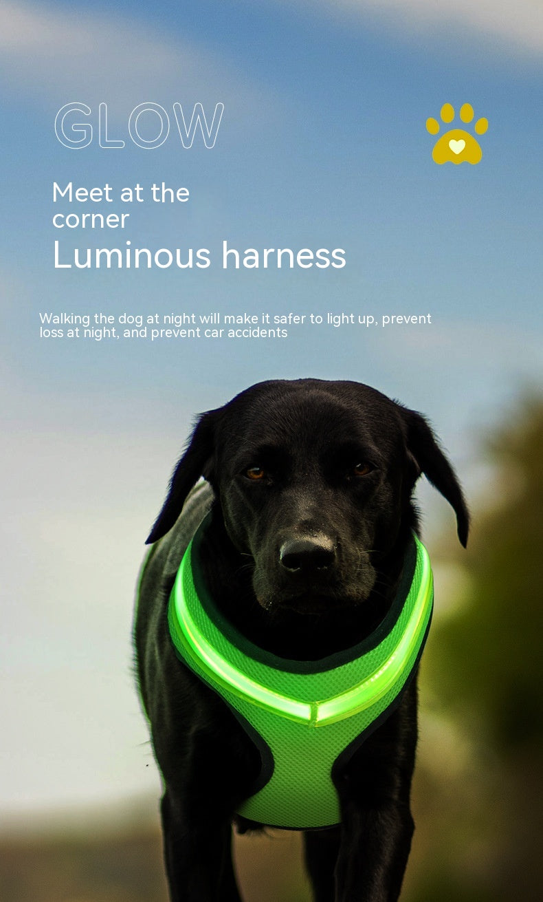 LED Dog Harness – USB Rechargeable Reflective Vest