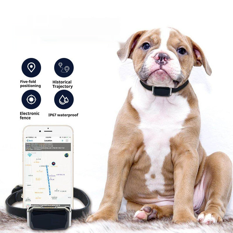 Pet Locator Collar – Real-Time GPS Anti-Lost Tracker