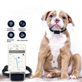 Pet Locator Collar – Real-Time GPS Anti-Lost Tracker