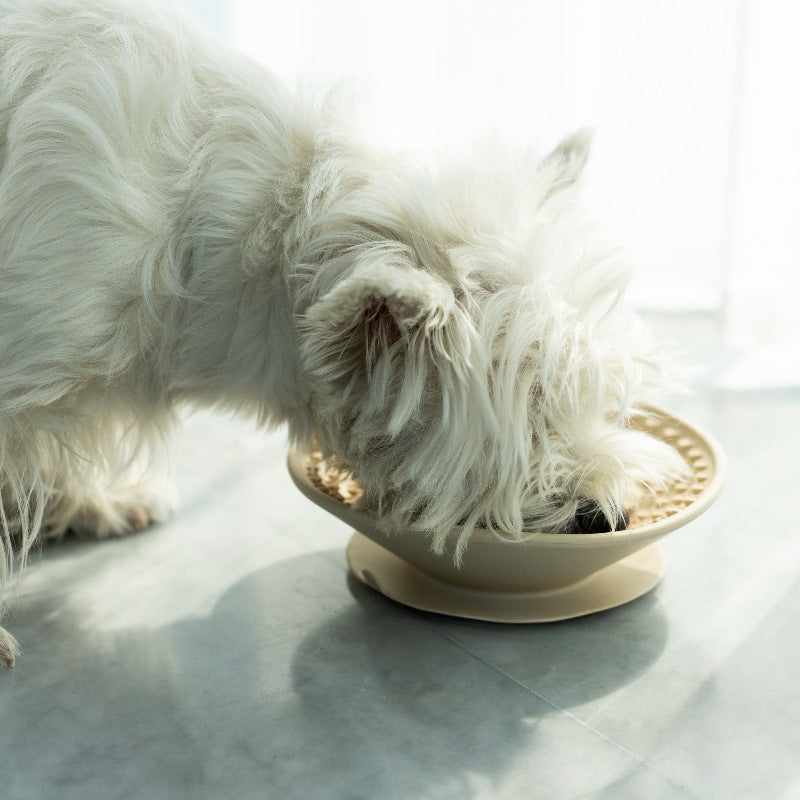 Dog Slow Feeder Bowl – Fun Silicone Lick Mat