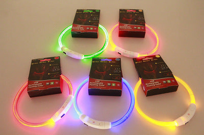 USB Rechargeable Luminous Dog Collar Light