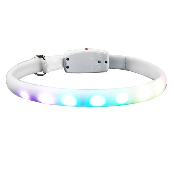 Luminous LED Dog Collar – Running Safety Light