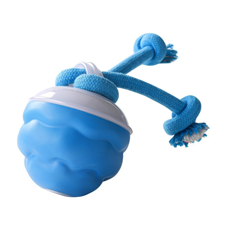 Smart Dog Ball – Rechargeable Interactive Play Toy