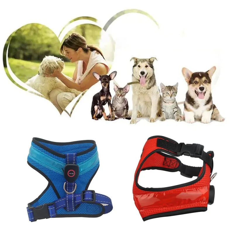 LED Dog Harness – USB Rechargeable Reflective Vest