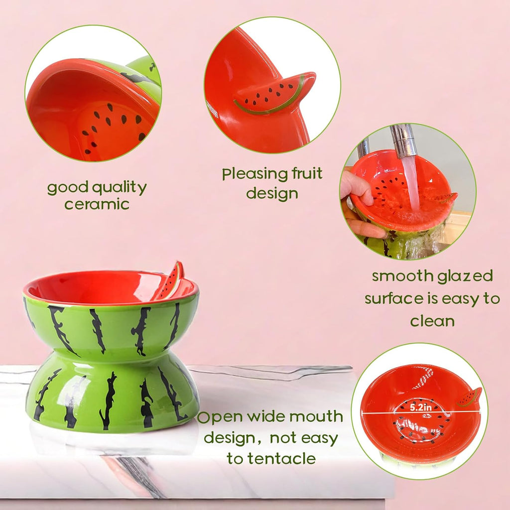 Ceramic Raised Cat Bowl – Anti Vomit Tilted Feeder
