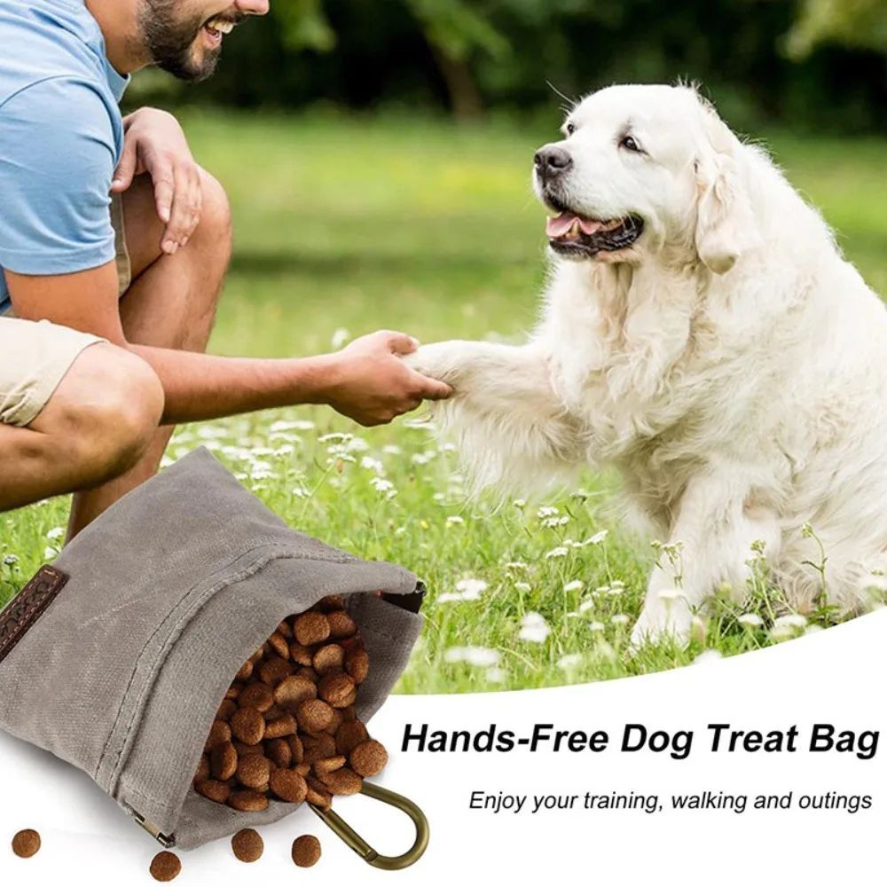 Portable Dog Training Snack Bag – With Carabiner Clip