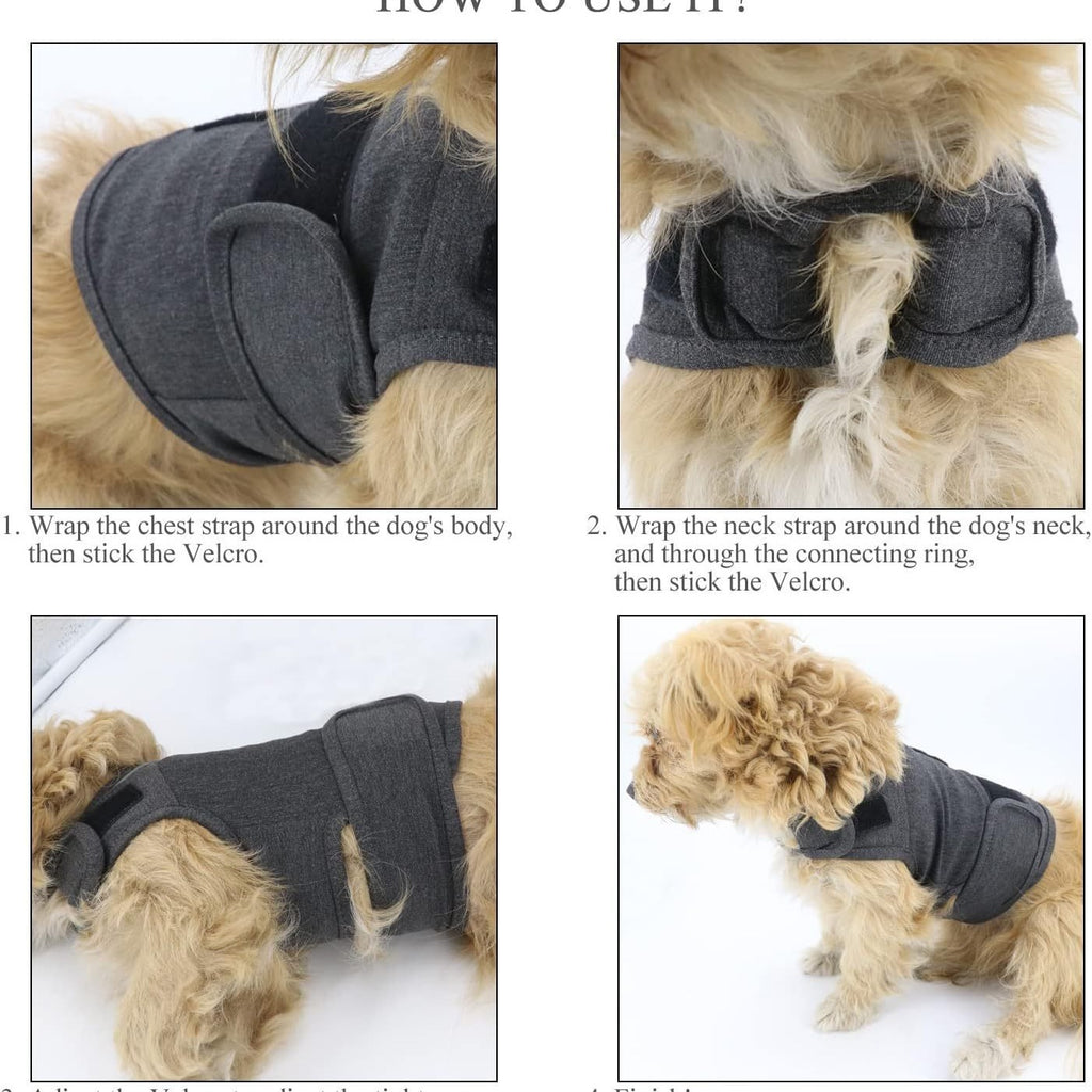 Dog Anxiety Shirt – Thunder Comfort Vest