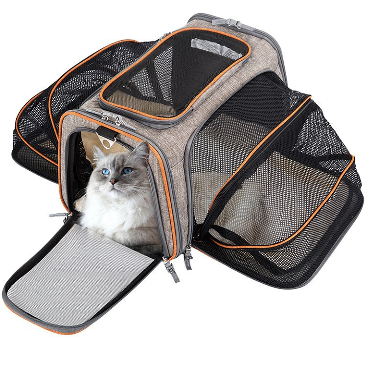 Airline-Approved Pet Carrier – Expandable, Soft & Safe