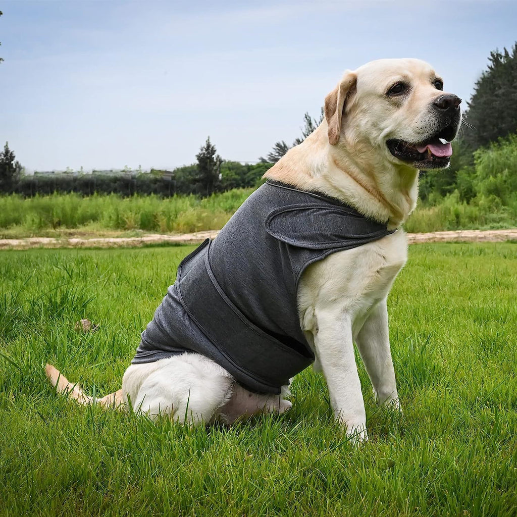 Dog Anxiety Shirt – Thunder Comfort Vest