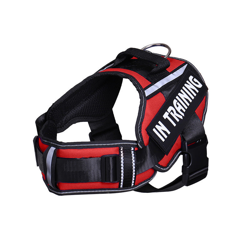 Reflective Dog Leash for Chest Harness – Safe Walking Lead