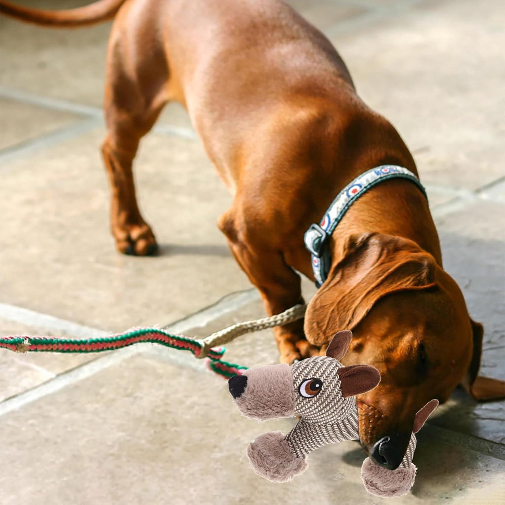 Large Dog Plush Toy – Squeaky Interactive Chew