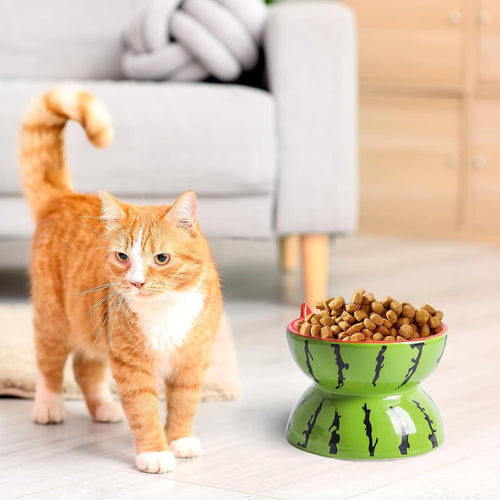 Ceramic Raised Cat Bowl – Anti Vomit Tilted Feeder