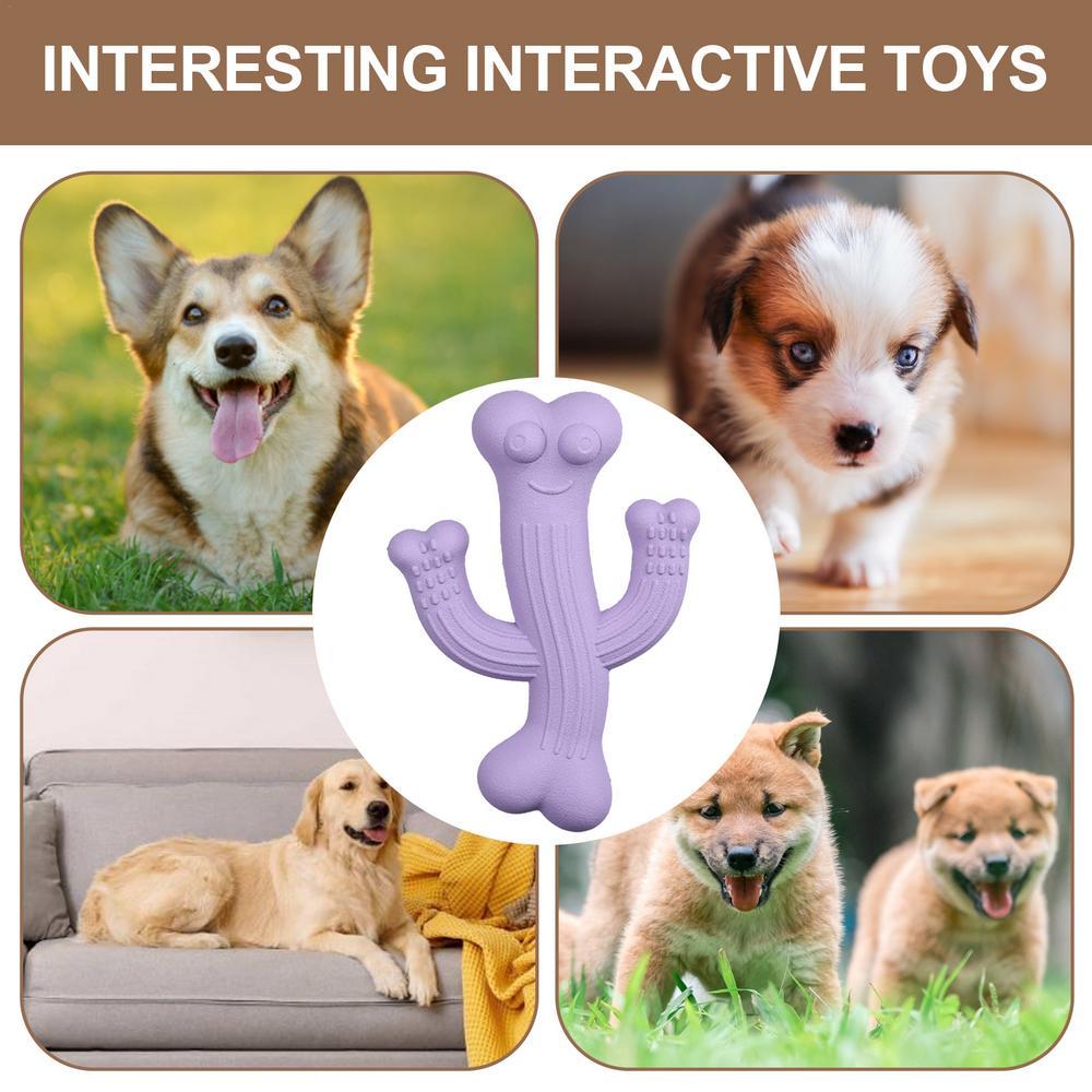 Indestructible Cactus Dog Toy – Tough Chewer Friendly