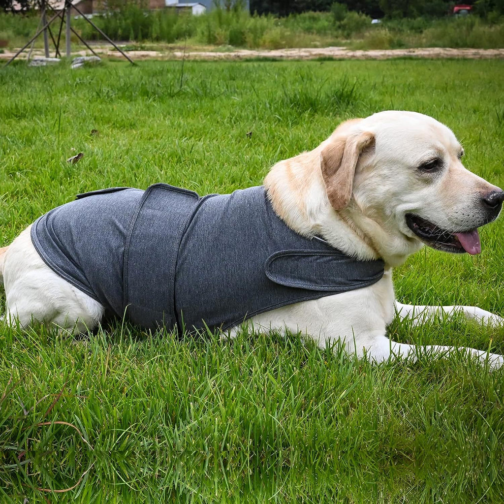Dog Anxiety Shirt – Thunder Comfort Vest