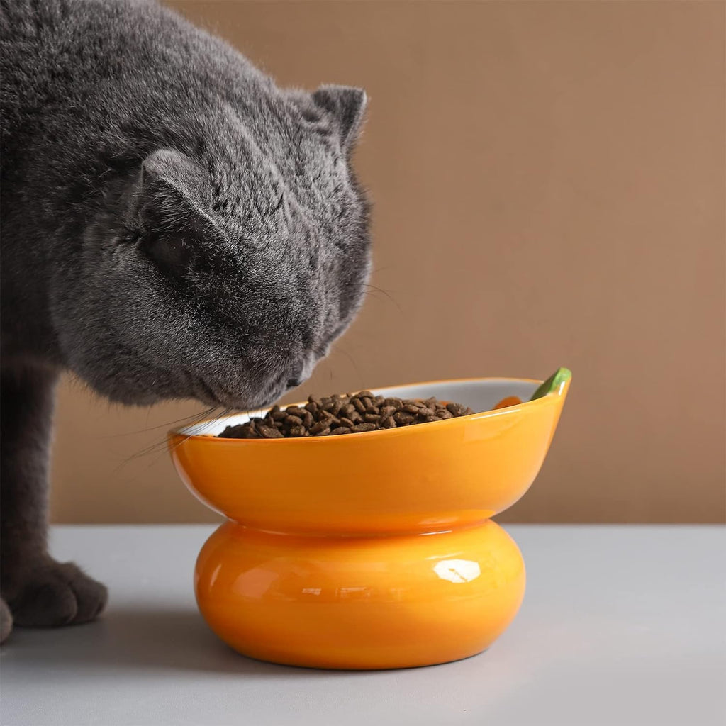 Ceramic Elevated Cat Bowl – Spine Friendly Feeding