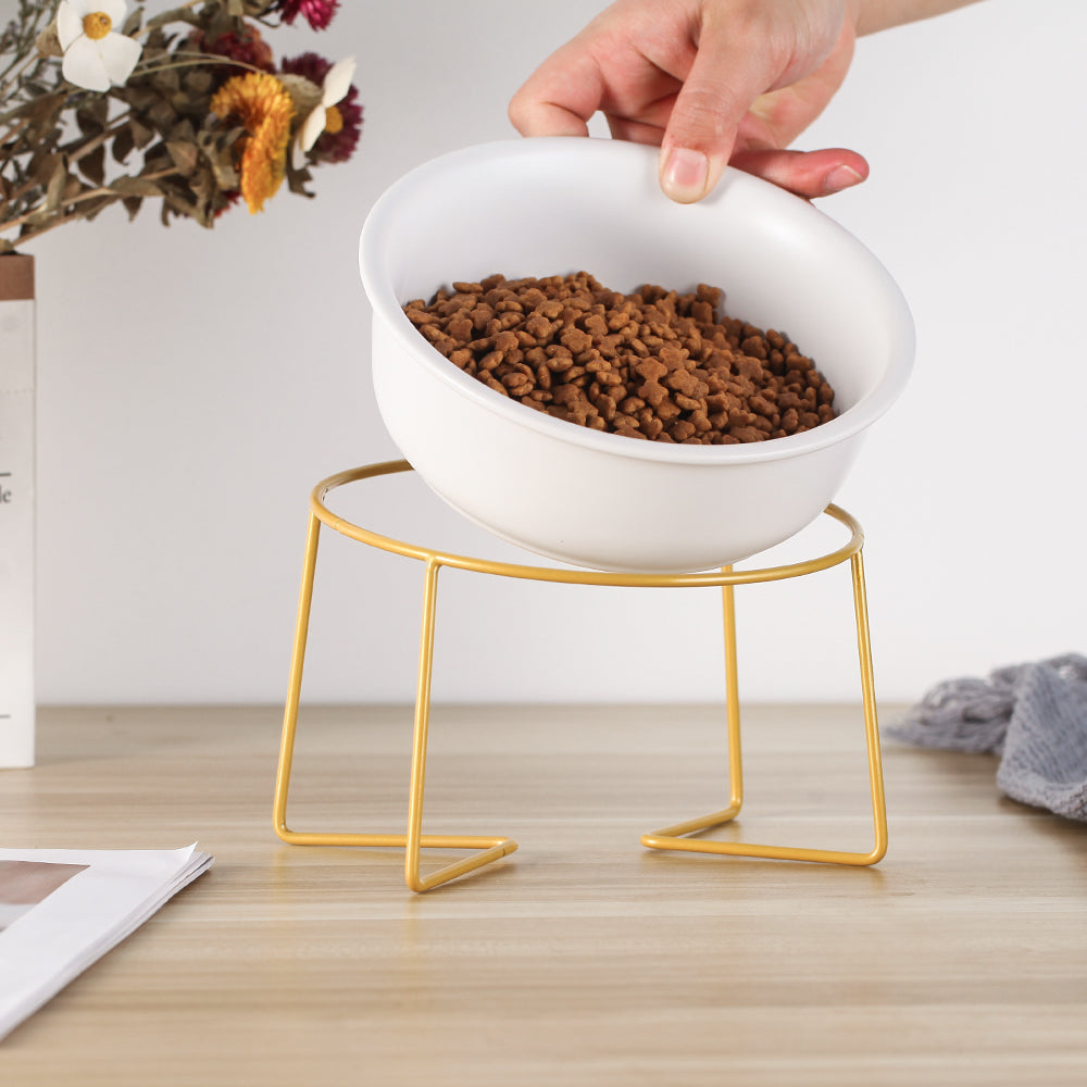 Tilted Ceramic Cat Bowl – Comfortable Mess Free Feeding