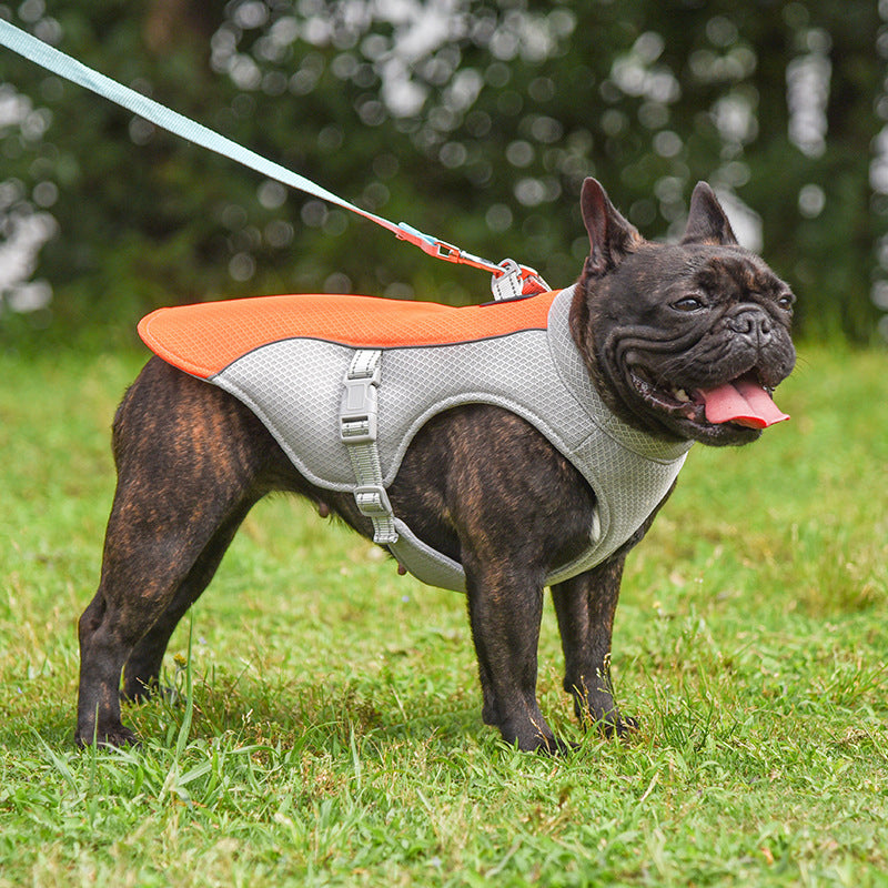 Summer Pet Cooling Vest – Breathable Comfort