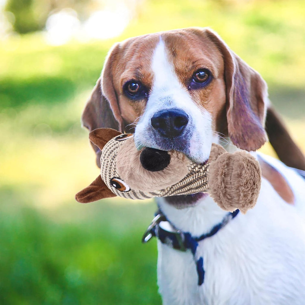 Large Dog Plush Toy – Squeaky Interactive Chew